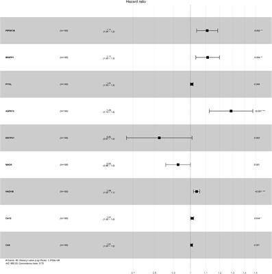 Construction of Prognostic Risk Prediction Model of Oral Squamous Cell Carcinoma Based on Nine Survival-Associated Metabolic Genes